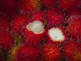 /album/imagenes-de-prueba/rambutan002-jpg/